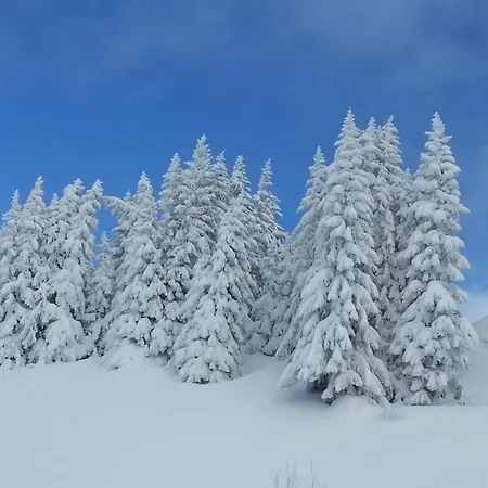 Vue Sur Les Pistes Aux Saisies 4 * Les Saisies